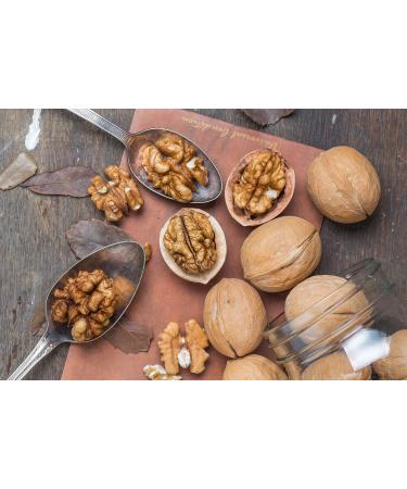 1001 Fruit Walnut Kernels 500g - Natural Shell-Free Walnuts from Germany | Additives-Free Healthy Raw Food Quality Gentechnik-Free - Buy Online on GoSupps.com