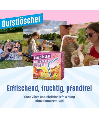  Durstl scher Durstl scher Multivitamins 12 x 500 ml: refreshing drink with 12 fruit juice no deposit bag vegan non-carbonated fruit juice drink ideal for - Buy Online on GoSupps.com