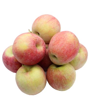 Bleichhof Bleichhof Apples Fuji - sweet and very juicy variety of the Palatinate (10 kg) New harvest