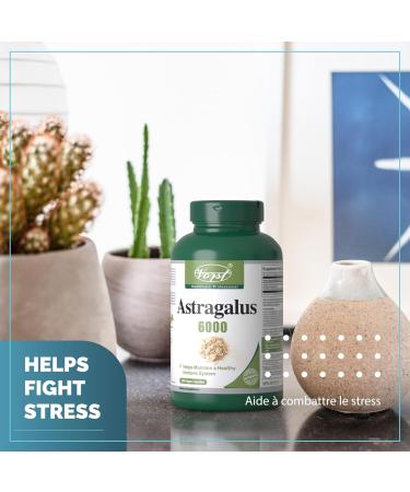 VORST Astragalus 6000mg Raw Equivalent (1500mg With 4:1 Extract Ratio) 180 Vegan Capsules | Supplement for Boosting Immune System | Root Powder Pills | 3 Bottles 1 count (Pack of 540) - Buy Online on GoSupps.com