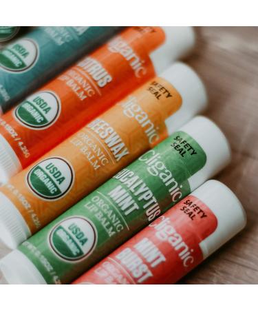 Cliganic Organic Coconut Lip Balm - Pack of 4 | Natural Moisturizing Lip Care - Buy Online on GoSupps.com