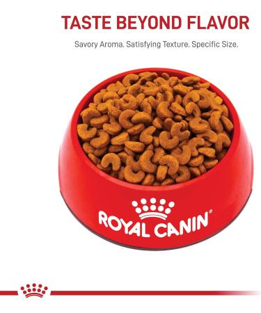 Royal Canin French Bulldog Puppy Breed Specific Dry Dog Food 3kg - Buy Online on GoSupps.com