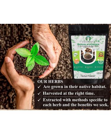 AYURVEDASHREE Triphala Powder 200 Gm - Daily Detox & Rejuvenation Formula - Immune Support - Non GMO - Vegan - GMP Certified - Buy Online on GoSupps.com