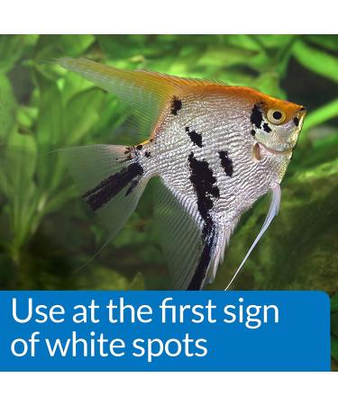 API SUPER ICK CURE Fish Remedy 4-Ounce Liquid | Treats Ich White Spot Disease - Fast Relief - Buy Online on GoSupps.com