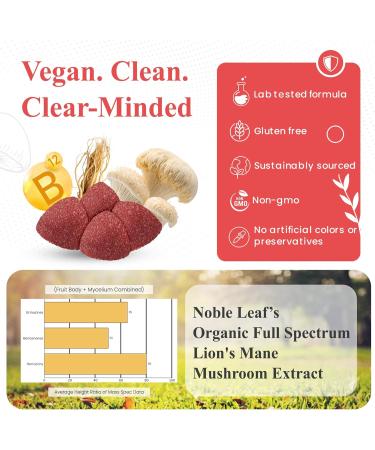 Lion's Mane Mushroom Gummies for Focus and Energy - Focus Gummies for Adults with American Ginseng & B12 for Clarity & Natural Energy, Gluten Free, Fruit Punch Flavor, 7 Count 7 Count (Pack of 1) - Buy Online on GoSupps.com