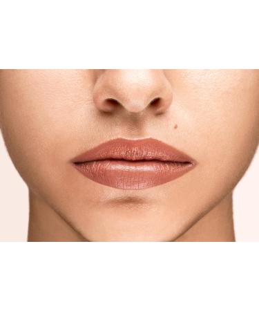 Rosetto Puro Refill Lipstick 100 Terra Di Siena - Buy Online on GoSupps.com