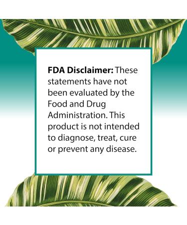 FORTE NATURALS Coconut Oil C8 MCT for Memory Focus Brain Supplement Cold Pressed Unrefined C8 C10 MCT Oil Capsules Keto Pills Ketosis Coconut Oil softgels 1000mg Ketogenic Fuel Gut Health for Women - Buy Online on GoSupps.com