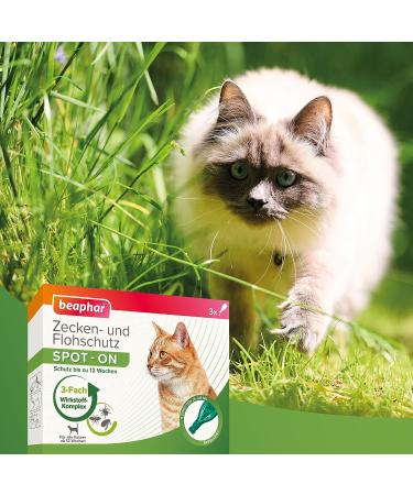 Beaphar Tick & Flea Protection Spot-On for Cats | Effective Flea Tick & Mosquito Repellent | 3 Pipets (0.8 ml each) - 12 Weeks Protection - Buy Online on GoSupps.com