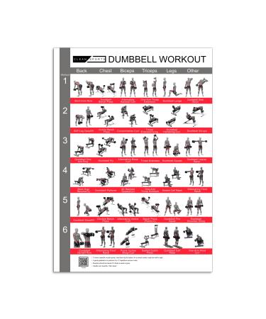 Clean Sports Kurzbang Workout Poster DIN A2 with six full -body workouts to imitateDumbbell Sportposter for hobby room or fitness studio (Dina2) - Buy Online on GoSupps.com