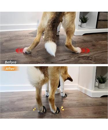 LOOBANI Dog Paw Protector XL - Non-Slip Paw Pads for Indoor Traction, Double Layer Reinforcement, Lightweight Grip Pads - 4 Set (16 Pads) for Dogs 41-60 lbs - Buy Online on GoSupps.com