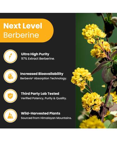 NutraChamps Liver Cleanse & Detox Capsules & Berberine Capsules - Buy Online on GoSupps.com