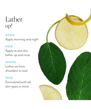 Bliss Grapefruit & Aloe Body Butter Lemon & Sage Body Scrub and Soapy Suds Body Wash Trio - Ultra-Hydrating Moisturizer Exfoliating Scrub & Refreshing Cleanser for Soft Radiant Skin - Buy Online on GoSupps.com