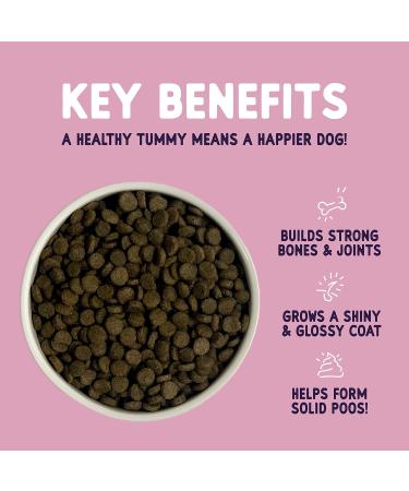 Burgess Sensitive Scottish Salmon & Rice 2kg - Buy Online on GoSupps.com