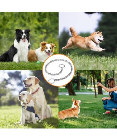 Durable Metal Choke Chain Dog Collar for Outdoor Training - Small, Medium, Large Sizes - Adjustable Silver Necklace - L 65cm, 4.0mm Diameter - Buy Online on GoSupps.com