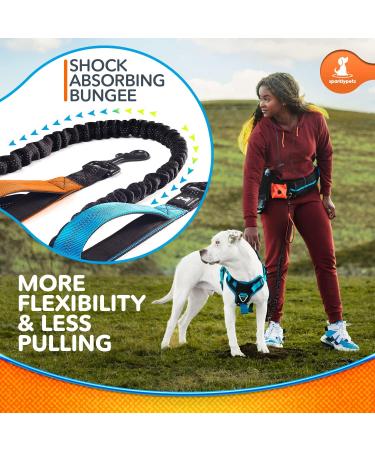Sparklypets Jogging Line for Dogs | Hands-Free Leash with Belly Belt | Ideal for Medium/Large Dogs | Includes Treat Bag Feces Bag Pocket & Phone Holder | High-Quality Active Set - Buy Online on GoSupps.com
