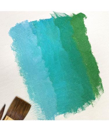 PHOENIX 11x14 Inch Painting Canvas Panels - 12 Pack, Triple Primed Cotton Canvases for Acrylic, Oil, Watercolor & Tempera Paints - Buy Online on GoSupps.com