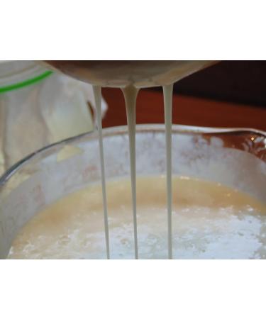 Buy 10g Organic Milk Kefir Grains | Tibetan Mushrooms & Snow Lotus - Premium Quality for Gut Health - Buy Online on GoSupps.com