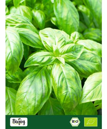  Biojoy Biojoy Organic basil (1 kg) dried and crushed Basil leaves (Ocimum basilicum) - Buy Online on GoSupps.com