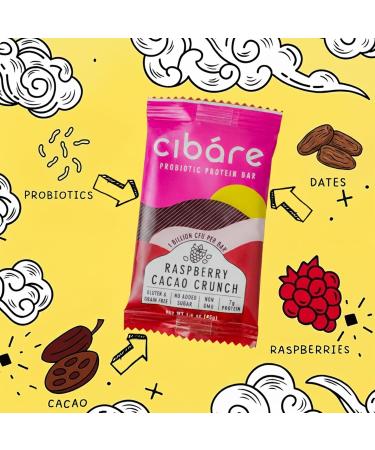 Cib re Probiotic Protein Bars - Plant-Based Snack with 1 Billion Probiotics, 7g Pea Protein, No Added Sugar, Gluten-Free, Soy-Free, Vegan, Raspberry Cacao Crunch (12 Count) - Buy Online on GoSupps.com
