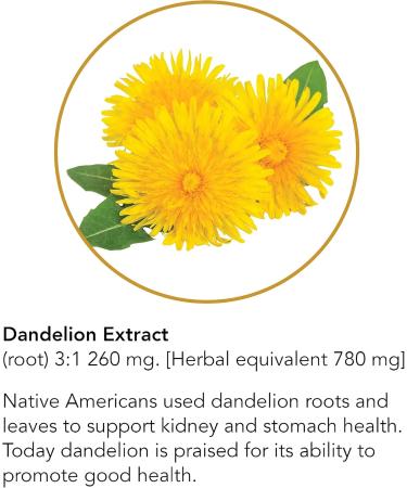 Botanic Choice Dandelion Root Extract - Alcohol-Free Liver Health Support Detox & Digestive Aid - 1 oz - Buy Online on GoSupps.com