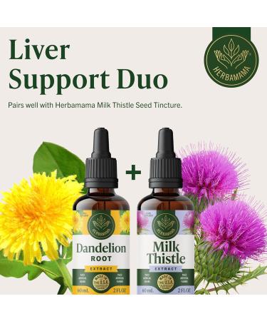 HERBAMAMA Dandelion Root Tincture - Vegan Dandelion Root Extract for Liver Detox and Cleanse - Non-GMO Alcohol & Sugar-Free Liquid Liver Support Supplement 28-Day Supply 2 Fl Oz (Pack of 1) - Buy Online on GoSupps.com