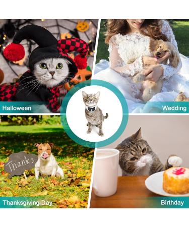 Buy Hacraho Formal Dog Fly Costume - White Adjustable Collar for Dogs & Cats | Perfect for Weddings & Birthdays - Size M for Small Pets - Buy Online on GoSupps.com