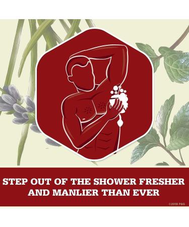 Old Spice Timber Body Wash - Sandalwood Scent - 16 Oz - Packaging May Vary - Buy Online on GoSupps.com