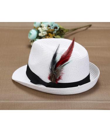 FALETO Hat Feathers 12 Pcs - Assorted Natural Feather Packs for Hats and Accessories - Buy Online on GoSupps.com