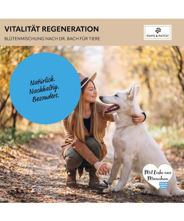 Buy Paws & Patch Vitality Regeneration Detox Flower Mix for Dogs & Cats - 10g Bach Flower Globules for Detox Cure - International Shipping Available - Buy Online on GoSupps.com