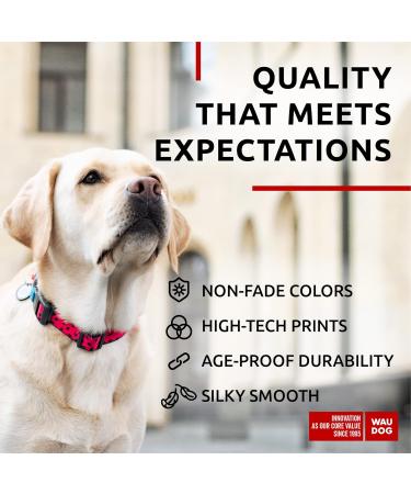 Buy Waudog Nylon Dog Collar - Adjustable Pink Watermelon Design for Big Medium & Small Dogs (31-49 cm) - Buy Online on GoSupps.com