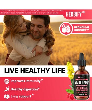 HERBIFY Bundle - Lions Mane & Mullein 4 Fl Oz Raspberry Drops - Supplement for Memory Focus & Clarity & Immune Support Lung Cleanse and Bronchial Support - Buy Online on GoSupps.com
