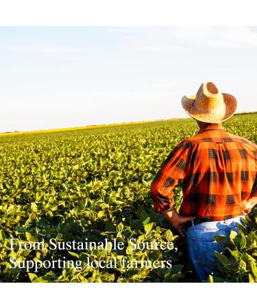 Feelia Organic Sweet Almond Oil - 100% Pure Cold Pressed Rich in Vitamins A & E Zinc Omega 3 - Fast Absorption for Healthy Skin - Buy Online on GoSupps.com