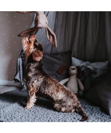 Buy Marle Rabbit Dog Toy 35cm - Durable Safe & Fun | International Shipping Available - Buy Online on GoSupps.com