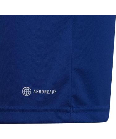 Adidas Unisex Kids Entrada 22 Polo Shirt - Team Royal Blue Sizes 11-12 Years | Shop Internationally - Buy Online on GoSupps.com