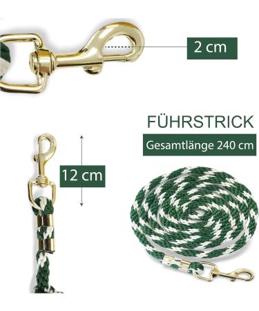 Stylish Lead Rope for Horses Ponies Donkeys & Goats - Red & Green Tie Ropes - Buy Online on GoSupps.com