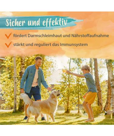 Ida Plus Probiotic Snack for Dogs - Intestinal Renovation & Digestive Support - 440g Prebiotic Formula for Healthy Gut Flora - Buy Online on GoSupps.com