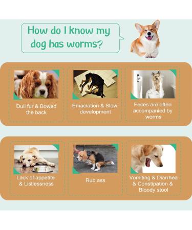 Natural Spot on Flea and Tick Treatment for Small Dogs - Fast Acting & Waterproof - 3 Pipettes - Buy Online on GoSupps.com