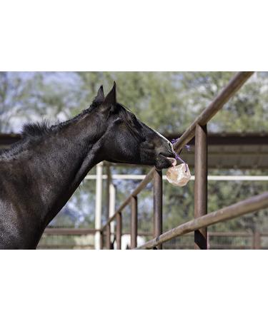 Himalayan Salt Block on Rope for Horses - 2.2 lbs | Natural Mineral Supplement - Buy Online on GoSupps.com
