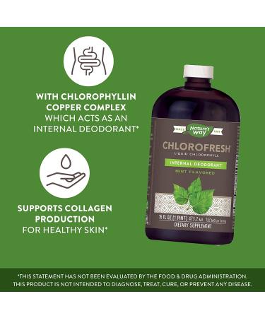 Nature's Way Chlorofresh Liquid Chlorophyll Concentrate 16 Fl. Oz - Mint Flavored | Internal Deodorant for Detoxification Pathways - Buy Online on GoSupps.com