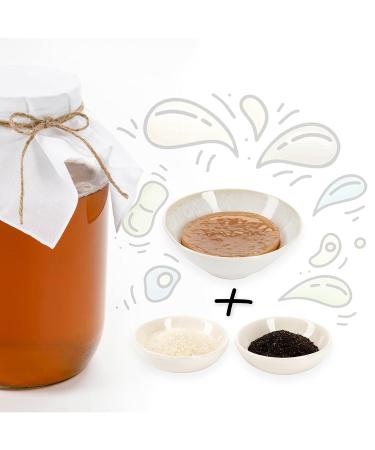Helden Mazilz Organic Kombucha Scoby | Make 6 Liters | 100% Natural & Sustainable | Plastic-Free Kombucha Set Gift - Buy Online on GoSupps.com
