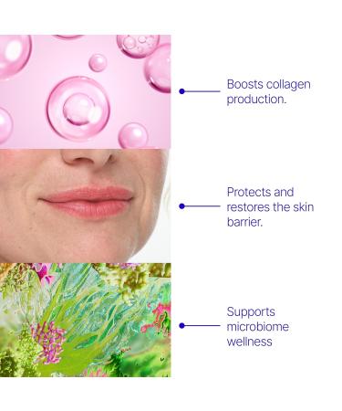 L'AMARUE Lip Repair Balm - 0.33 fl oz: Intensive Repair for Dry Cracked Aging Lips | Hydrating Moisturizing & Soothing | Chapped Lips & Helps in Eczema | Vegan Fragrance-Free Soothing Lip Balm - Buy Online on GoSupps.com