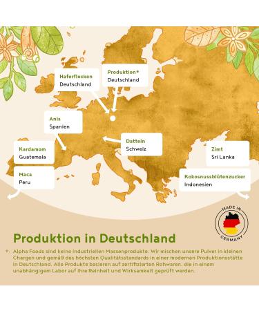 Morning Fuel Chai Latte Oatmeal | Vegan Nutrient-Rich Breakfast Replacement | 500g Smoothie Bowl - Buy Online on GoSupps.com