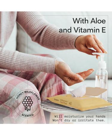 Antibacterial Hand Wipes with Aloe & Vitamin E | 40 Ct | Kills 99.9% Germs | Paraben & Sulfate Free | International Shipping - Buy Online on GoSupps.com