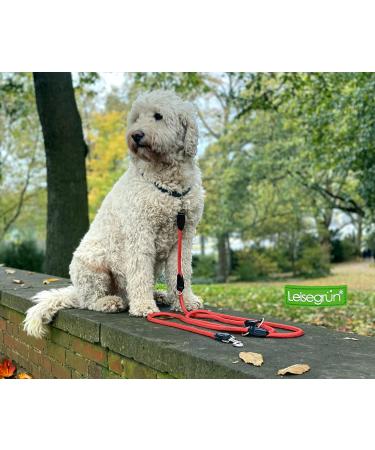 Buy Leite Green Adjustable Dog Leash 3m - Durable Nylon for Medium to Large Dogs 200kg Capacity 2 Carabiners - Red Tango | International Shipping Available - Buy Online on GoSupps.com