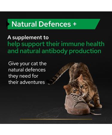 PRO PLAN Cat Natural Defences Supplement | Immune Health Support for Adult & Senior Cats | Boosts Antibody Production with Postbiotics | 120g Powder - Buy Online on GoSupps.com