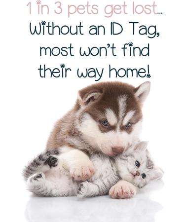 Kentucky Wildcats Pet ID Dog Tag | Officially Licensed | Personalized for Your Furry Fan - Buy Online on GoSupps.com