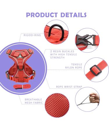 Buy Tikxlafe Adjustable Cat Dishes with Leash - 150 cm Polyester Cat Line Set for Kittens (Red Size S) - International Shipping Available - Buy Online on GoSupps.com