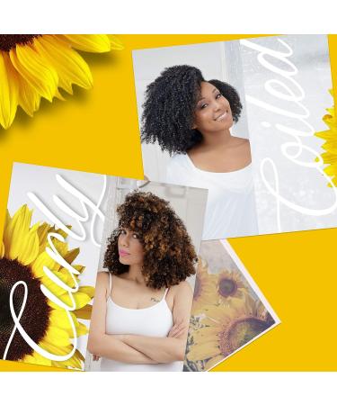 Jane Carter Solution Curl Defining Cream (6oz) - Frizz Reduction | Nourishing | Lightweight - Buy Online on GoSupps.com