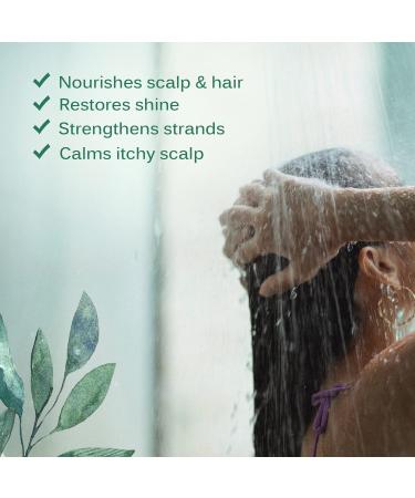 Natural After Keratin Aloe Vera Shampoo - Sulfate Paraben & Alcohol Free - Repair Damaged Hair Anti Frizz & Nourish - 51 oz Organic Herbal Formula - Buy Online on GoSupps.com
