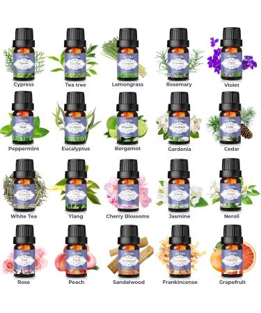 Janolia Essential Oils Set - 20 Pure Fragrance Oils for Diffusers | Natural Aroma Relaxation & Perfect Gift for Family & Friends - Buy Online on GoSupps.com